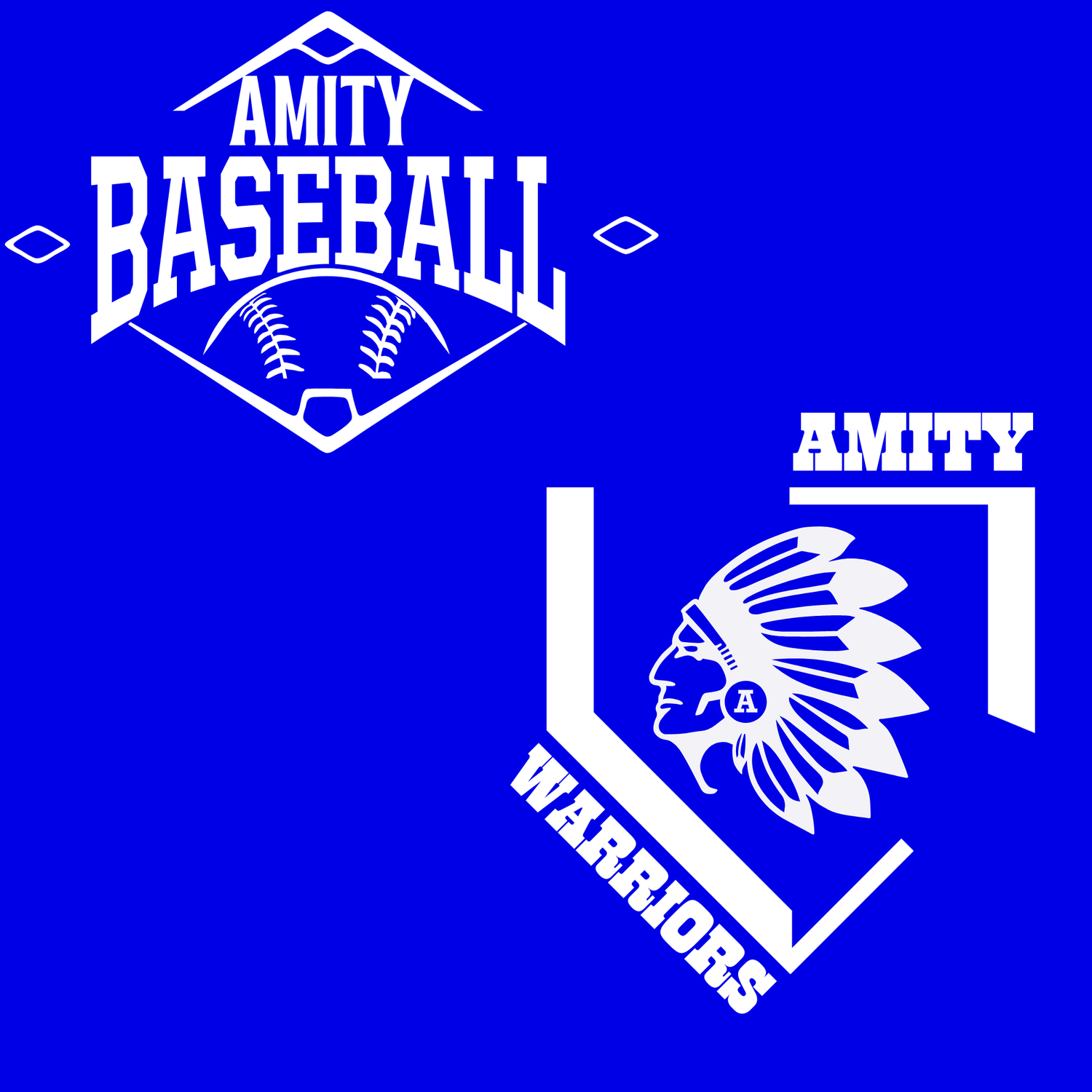 Amity High School Baseball Program