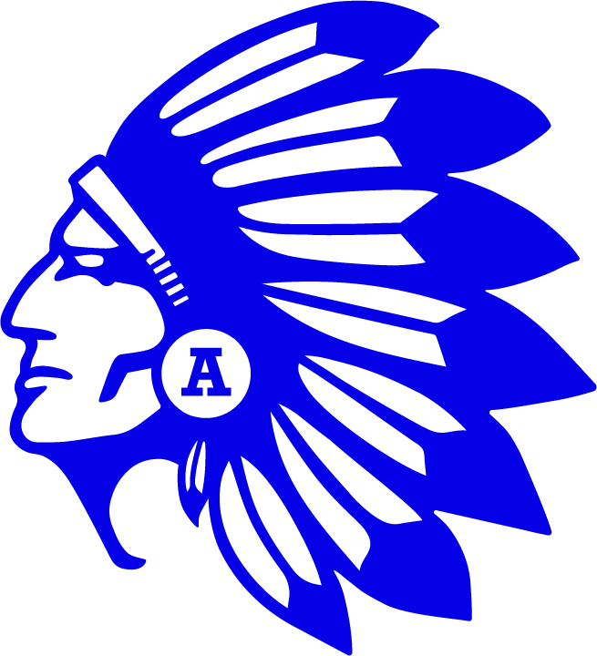 Amity School Spirit