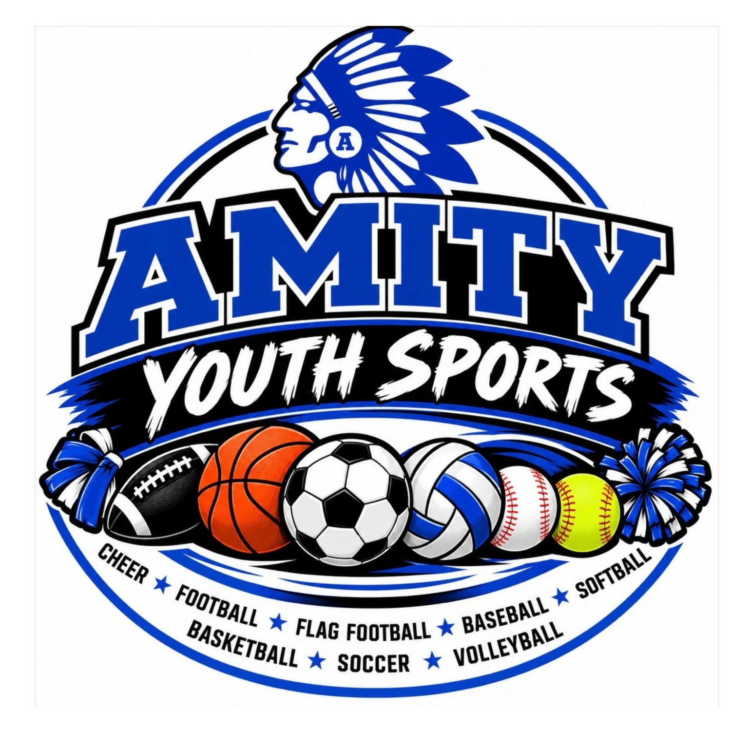 Amity Youth Sports
